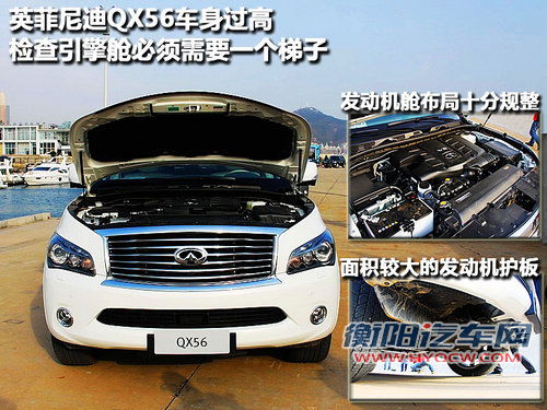 英菲尼迪 新QX 56