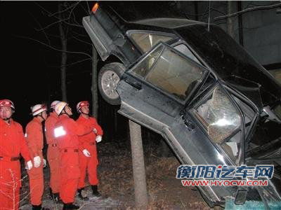 轿车失控离奇“爬”上树 车内困一人