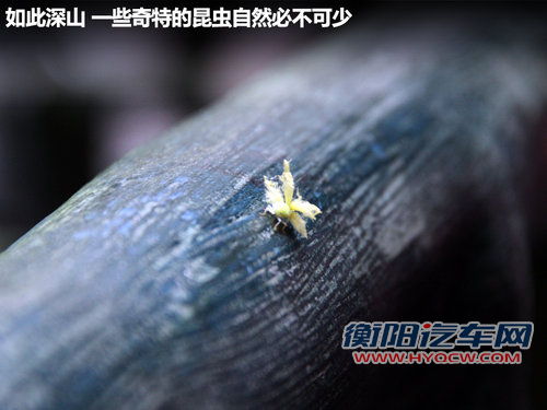 东风悦达起亚 K2