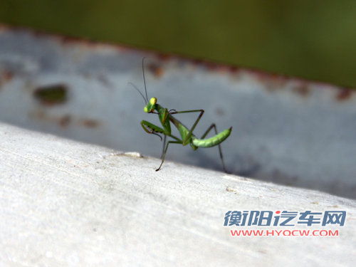 东风悦达起亚 K2