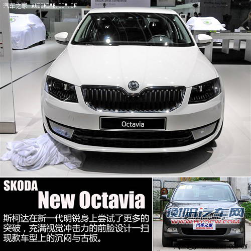 斯柯达斯柯达(进口)明锐(海外)2013款 基本型