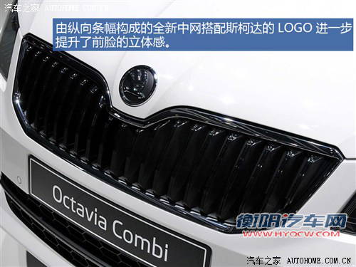 斯柯达斯柯达(进口)明锐(海外)2013款 基本型